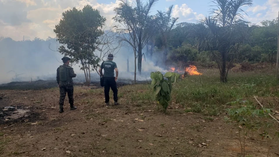 Operação contra queimadas multa seis empreendimentos em Canutama (AM) em mais de R$ 4,9 milhões