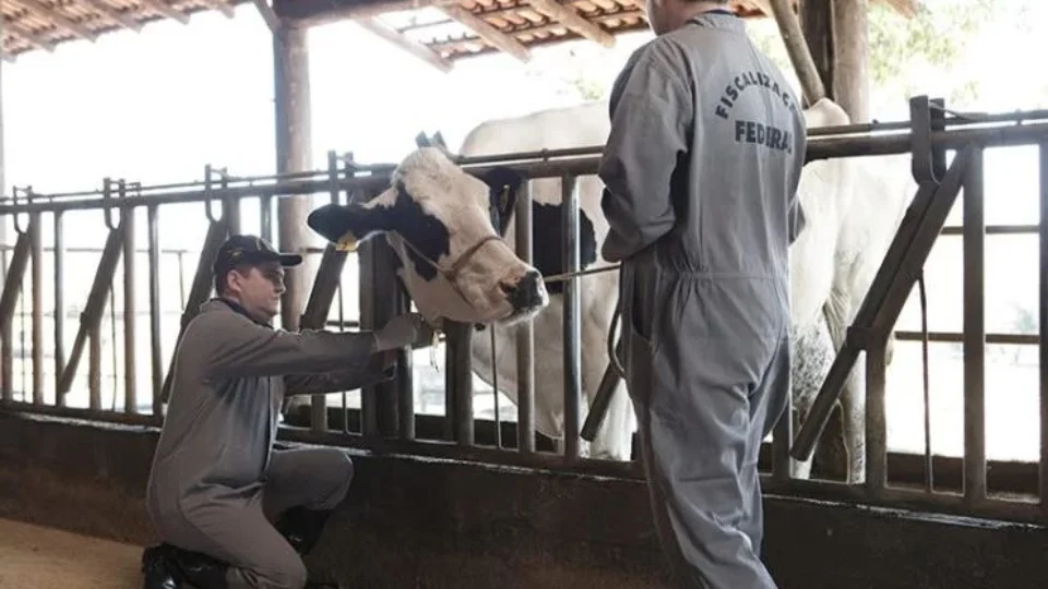 Dia do Veterinário| Saiba mais sobre Segurança alimentar e o agronegócio