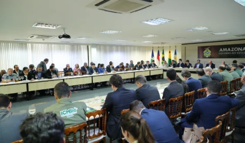 Operação contra queimadas fica até outubro no Amazonas e plano para Amazônia será definido em Brasília