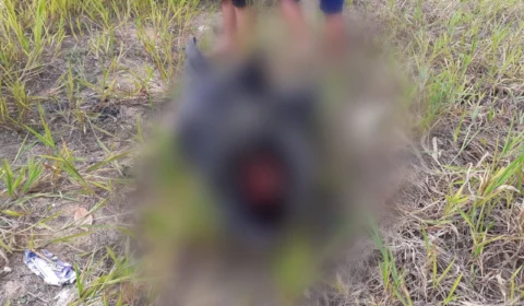 Com mãos e pés amarrados, corpo é desovado na Zona Norte