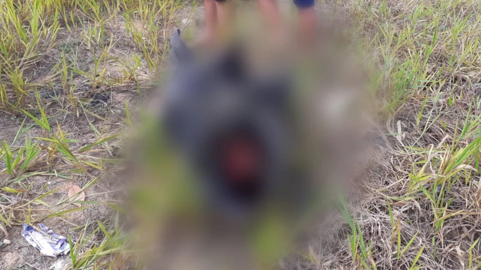 Com mãos e pés amarrados, corpo é desovado na Zona Norte