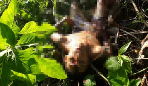 Homem é assassinado com seis tiros no bairro Cidade de Deus