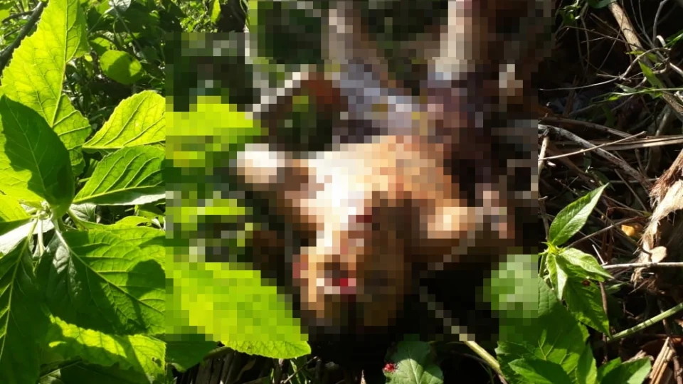 Homem é assassinado com seis tiros no bairro Cidade de Deus