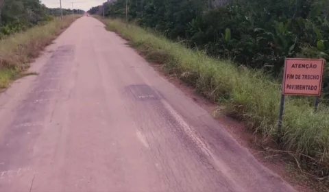 BR-319: O envolvimento político, econômico, socioambiental e seus reflexos no PIM