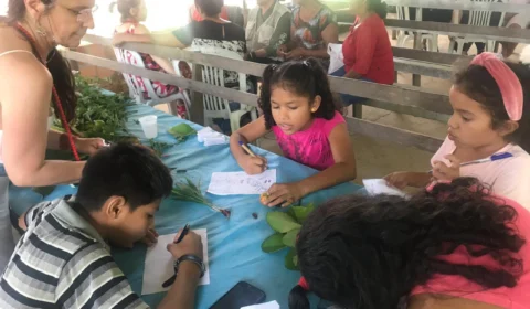 Unidade de conservação estadual recebe intercâmbio de medicina tradicional dos povos da Amazônia e da Índia