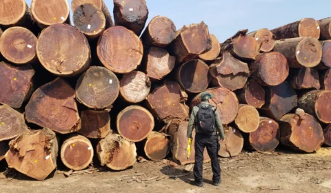 Serraria é embargada e multada em R$ 2,6 milhões durante operação no sul do Amazonas