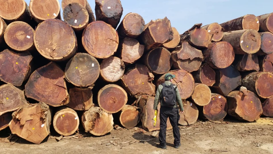 Serraria é embargada e multada em R$ 2,6 milhões durante operação no sul do Amazonas