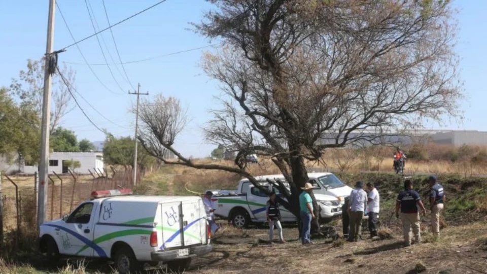 Restos mortais de 41 pessoas são encontrados em 119 sacos de plástico