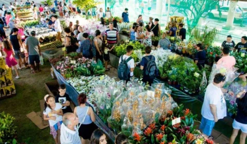 Manaus terá nova edição da Feira de Flores de Holambra na Praça da Saudade