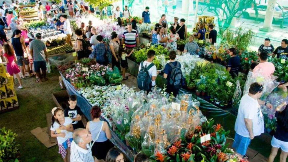 Manaus terá nova edição da Feira de Flores de Holambra na Praça da Saudade