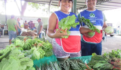 Interior do Amazonas vai ganhar mais de 20 feiras até o final do ano