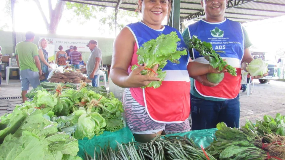 Interior do Amazonas vai ganhar mais de 20 feiras até o final do ano