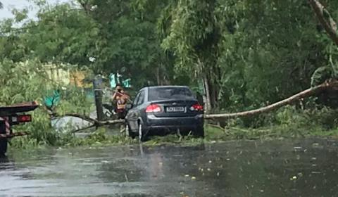 Árvore cai em cima de carro, durante forte chuva em Manaus