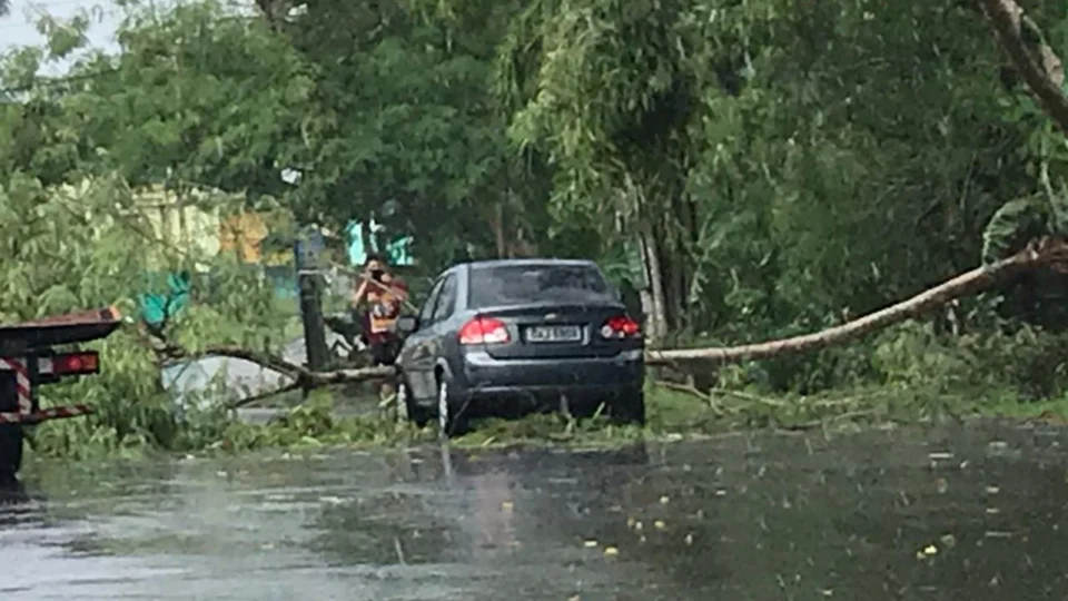 Árvore cai em cima de carro, durante forte chuva em Manaus