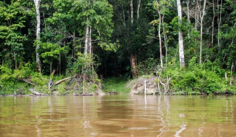 Encontro Capes anuncia a liberação de R$ 7 milhões para pesquisas na Amazônia Legal