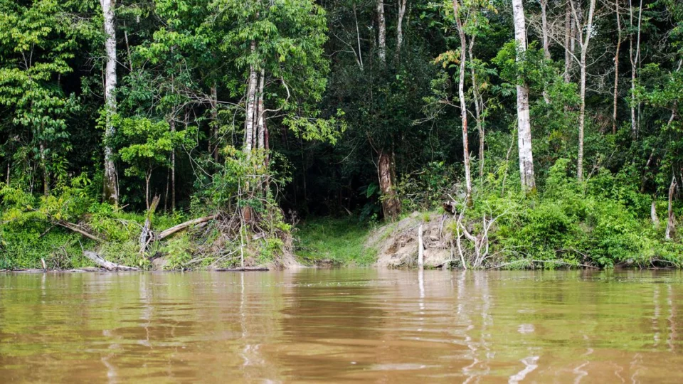 Encontro Capes anuncia a liberação de R$ 7 milhões para pesquisas na Amazônia Legal