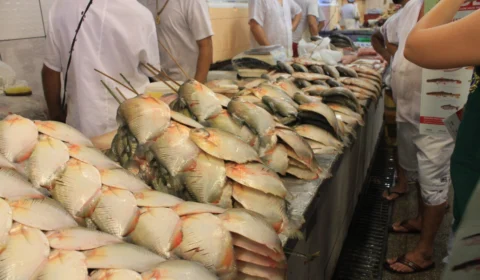 Pescadores devem ficar atentos ao período de defeso