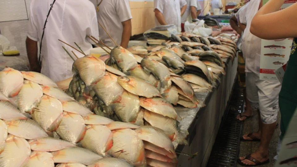 Pescadores devem ficar atentos ao período de defeso