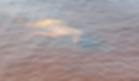 Corpo de jovem desaparecido há uma semana é encontrado no Rio Negro, às margens da praia da Ponta Negra