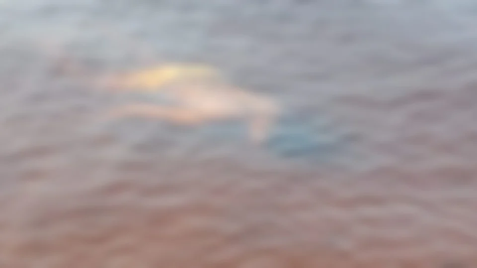 Corpo de jovem desaparecido há uma semana é encontrado no Rio Negro, às margens da praia da Ponta Negra