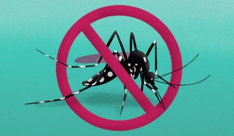 Boa Vista baixou de 7,1% para 4,8% o índice de infestação do mosquito