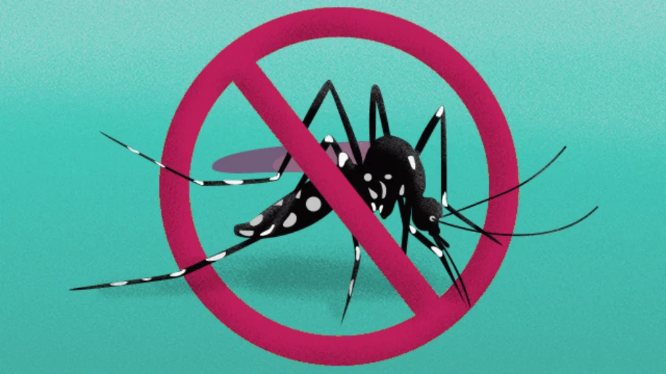 Boa Vista baixou de 7,1% para 4,8% o índice de infestação do mosquito