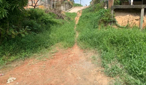 Completamente tomada por mato, ladeira no Colônia Terra Nova oferece riscos para moradores