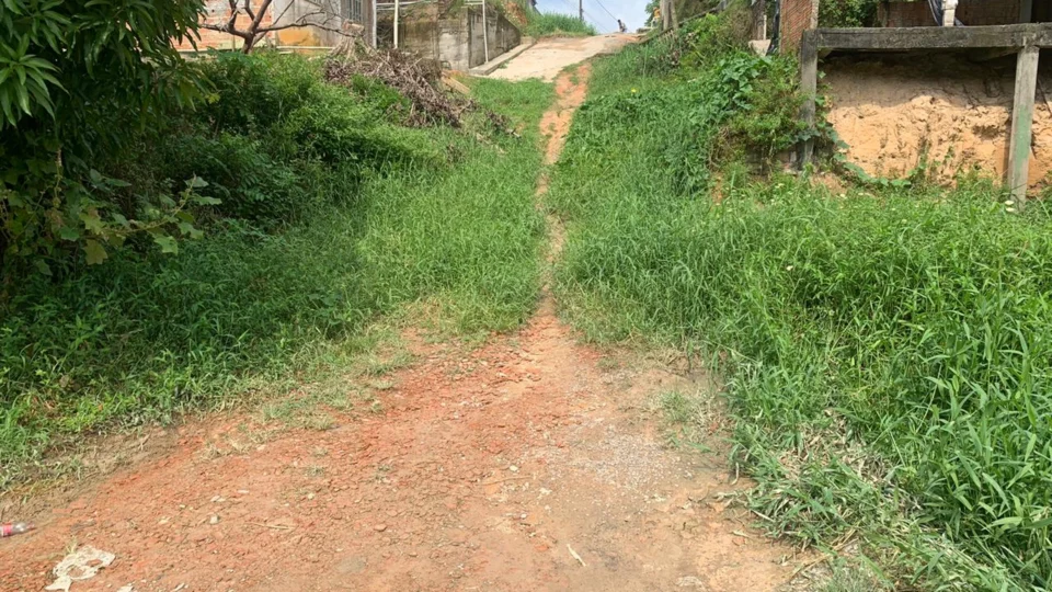 Completamente tomada por mato, ladeira no Colônia Terra Nova oferece riscos para moradores