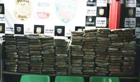 PM apreende mais de 170kg de maconha no porto de Fonte Boa-AM