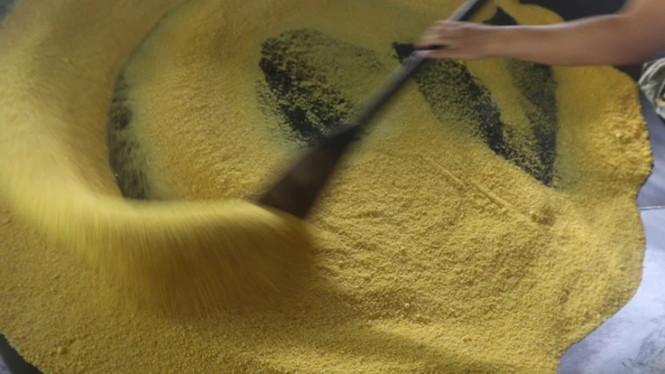 Samsung Ocean Manaus encerra 2019 com palestras e cursos sobre tecnologia e games