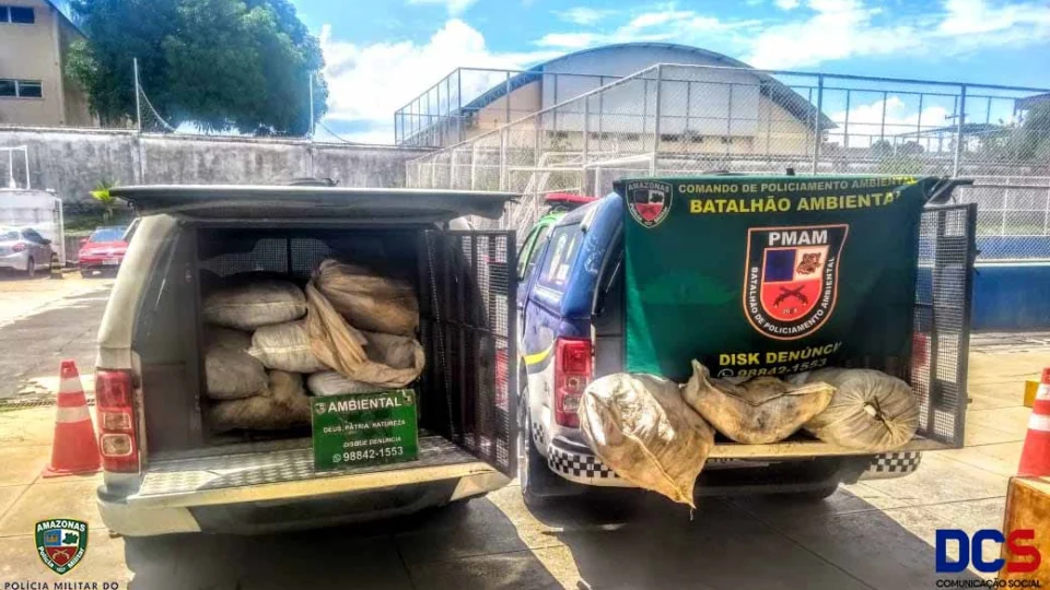 Uma tonelada de pirarucu e três quelônios são apreendidos, no porto de Manaus