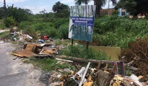 Área verde de Preservação Permanente é tomada por lixo