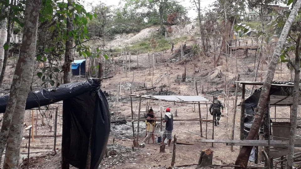 Quatro pessoas foram presas por desmatamento e criação de invasão no bairro Santa Etelvina, zona Norte