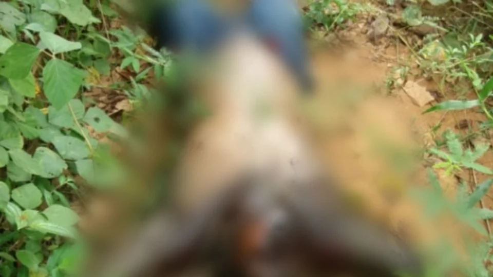 Corpo de homem em estado de decomposição é encontrado em área de mata no bairro Tarumã