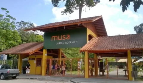 Nas férias, que tal conhecer as novidades do Museu da Amazônia? Veja programação!