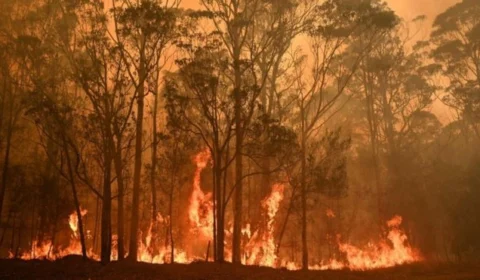 As impactantes imagens dos incêndios que estão destruindo parte da Austrália