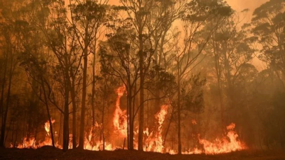 As impactantes imagens dos incêndios que estão destruindo parte da Austrália