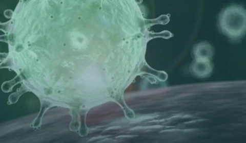 Documento da Sociedade Brasileira de Infectologia esclarece dúvidas sobre novo coronavírus