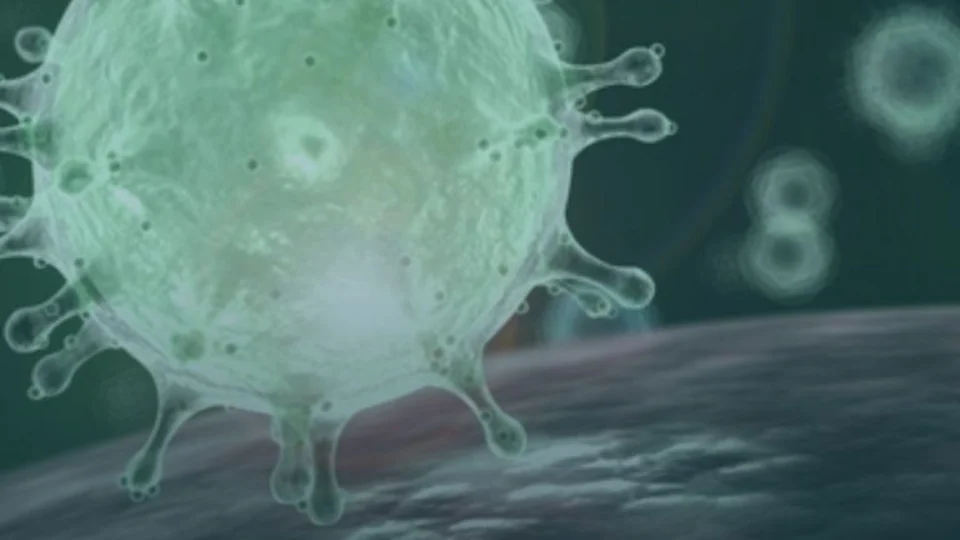 Documento da Sociedade Brasileira de Infectologia esclarece dúvidas sobre novo coronavírus