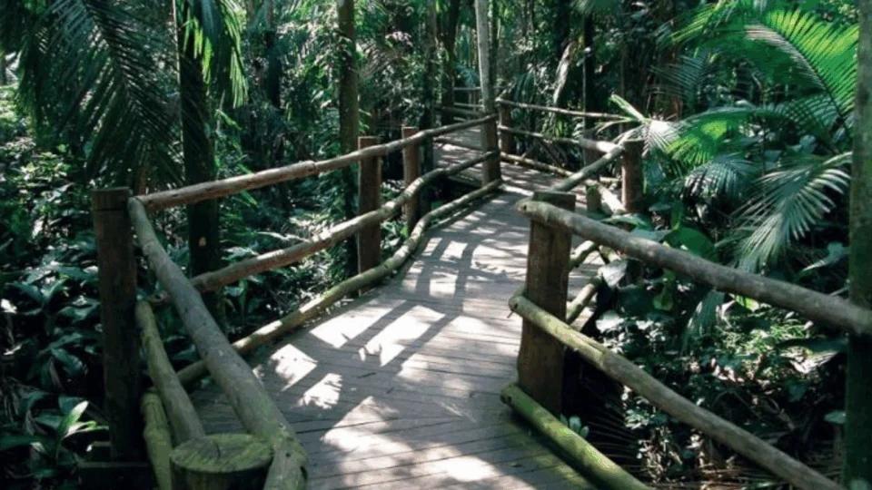 Governo do estado vai inaugurar bosque  temático e ecológico em Manaus em 2020