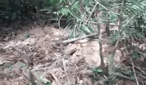 Segundo vídeo exclusivo do local onde polícia encontra cemitério clandestino no Nova Cidade