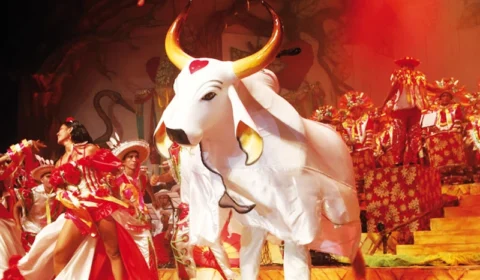 Multidão vermelha e branca toma as ruas de Parintins