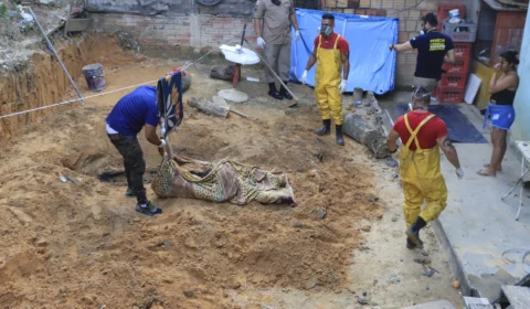 Homem que matou e enterrou a mulher no quintal de casa se entrega a polícia