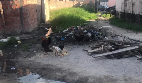 “Não tem asfalto, no puro barro, mato e lixo”, diz morador sobre ruas do Novo Aleixo