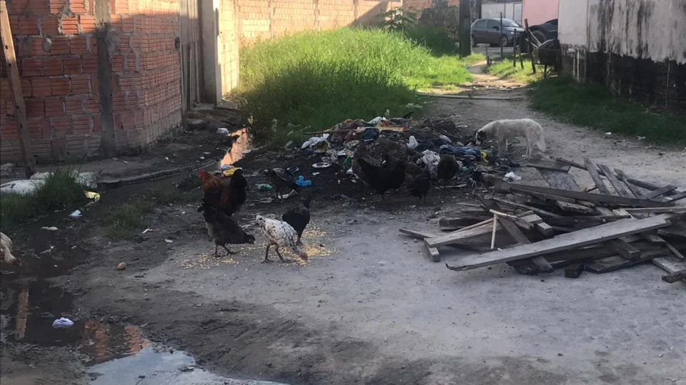 “Não tem asfalto, no puro barro, mato e lixo”, diz morador sobre ruas do Novo Aleixo