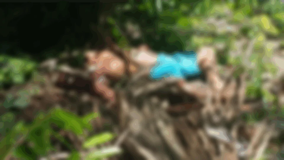 Dependente químico foi assassinado com requintes de crueldades no bairro Tarumã