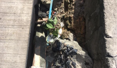 Falta de contenção ameaça desabamento e estrutura de casas em rua do Zumbi 2