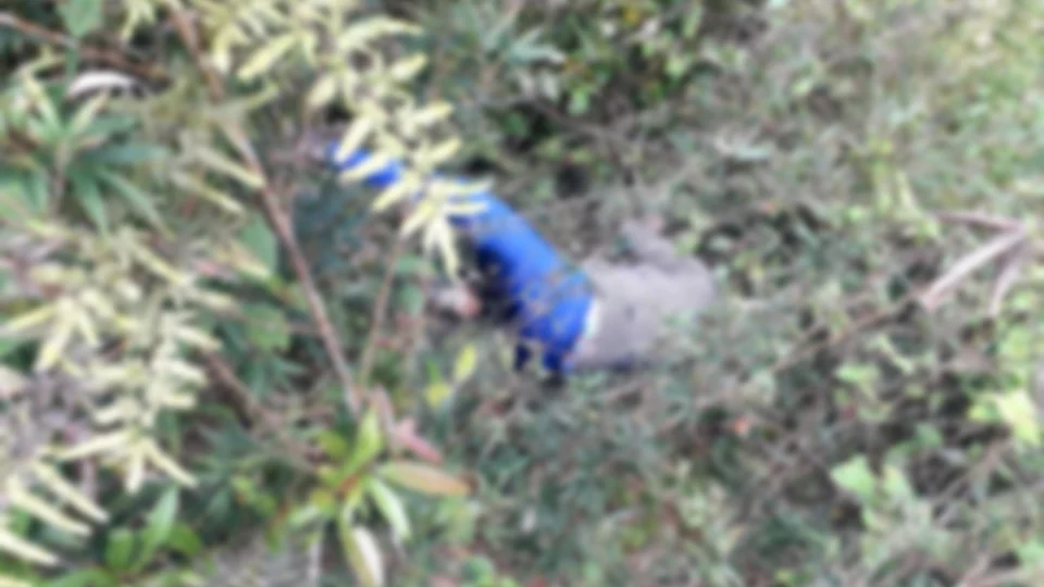 Mulher encontrada morta no Tarumã tinha indícios de abusos sexuais