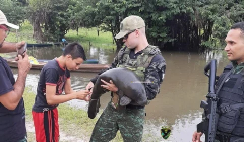Filhote de peixe-boi é resgatado em comunidade no interior do Amazonas