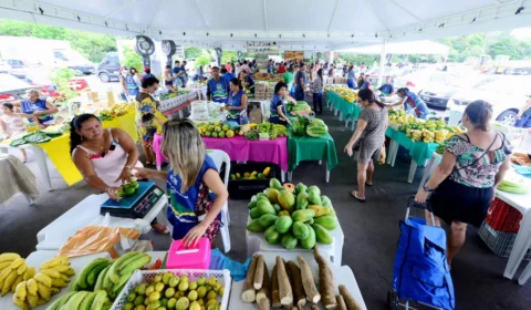 ADS retoma programação normal das Feiras de Produtos Regionais e inaugura nova edição neste sábado (04)